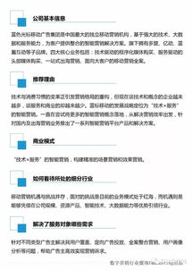 2017中國數(shù)字營銷行業(yè)洞察 數(shù)據(jù)服務(wù)驅(qū)動下的TOP100公司格局